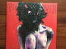PIG DESTROYER 