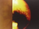 Gilded Eternity - 3 DISC SET - Loop (2014, Vinyl NEW)