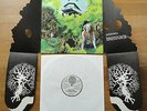 Dr. Strangely Strange . Heavy Petting LP Vertigo Swirl 1970 Psych Folk rar mint-