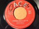 JOHNNY BRAFF Ace 2017 I WONDER WHAT'S GOT ME / IT'S TIME NOW -POPCORN SOUL -Hear