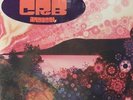 The Chris Robinson Brotherhood - Phosphorescent Harvest Color 2 x LP - SEALED
