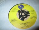 THE UNDERTONES TEENAGE KICKS RARE SIRE 7