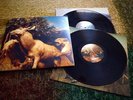 Interpol Our Love To Admire (2007)
