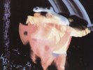 Paranoid - Black Sabbath (2004, Vinyl New)