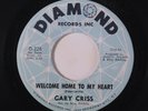 GARY CRISS: Welcome Home To My Heart / Hands Off Buddy 45 rare Soul
