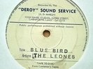 the leones - blue bird 7