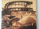 Red House Painters -  Rollercoaster - double 12