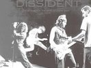 Pearl Jam Dissident Live In Atlanta 140g Grey Vinyl LP