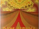 Savoy Brown Raw Sienna 1970 Parrot Records Vinyl LP 71036