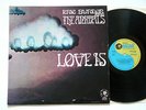 ERIC BURDON & THE ANIMALS - LOVE IS - 12