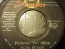 Echo Minott Pickney Fe Mine killer Digi 7