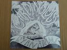 RYAN ADAMS - Cardinology ***US-Vinyl-LP***NEW***