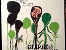 STEPHEN MALKMUS Face the Truth 2005 Matador LP NEAR MINT ORIG PRESS PAVEMENT