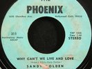 SANDY GOLDEN - Why Can't We Live and Love | RARE northern soul Phoenix 45 HEAR