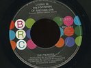 Soul - PROMISES - Living in the Footsteps of Another Girl - BRC