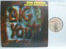 LP,  Big Youth, Dread Locks Dread, 1st Press Virgin Front Line UK 1978, NM
