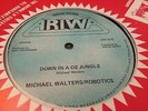 Michael Walters Down In A De Jungle Rare Killer Roots 12