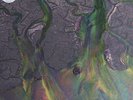ALT-J LP An Awesome Wave SEALED + MP3 Downloads Sealed Vinyl Mercury Nominantedd