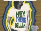 Hey There Delilah Plain White T's UK 7