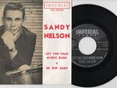 SANDY NELSON 
