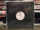 Afghan Whigs Do To The Beast TEST PRESSING sub pop lp twilight singers gentlemen