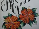 HOME GROWN - II   VINYL LP HAWAII PRESS
