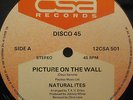 NATURAL ITES - Picture On The Wall   12