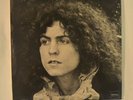 Tyrannosaurus Rex LP A Beard Of Stars SLRZ 1013