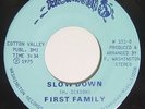 FIRST FAMILY Slow Down / That's Love 45 on Washington Rare Milwaukee Funk M-