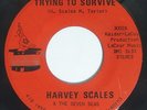 HARVEY SCALES & 7 SEAS Trying To Survive 45 on Magic Touch Rare Milwaukee Funk
