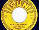 RANDY AND THE RADIANTS - MY WAY OF THINKING / TRUTH FROM MY EYES - SUN 45RPM