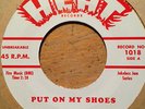 RARE R&B NEW BREED MARY ANN FISHER PUT ON MY SHOES / WILD AS YOU CAN BE  7