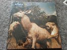 Interpol - Our Love To Admire  - Original Vinyl -