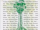 SPIRIT OF THE FOREST 1989 7