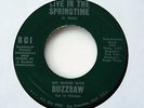 BUZZSAW Live In Springtime 45 1972 Lemon Drops GARAGE Fuzz