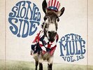 GOV'T MULE - STONED SIDE OF THE MULE (GATEFOLD 2LP 180 GR.) 2 VINYL LP NEW+
