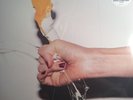 YEAH YEAH YEAHS It's Blitz NEW/SEALED INTERSCOPE LP ROCK