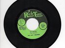 The Lost Children 45 RPM R@RE Northwest Garage Band MINT