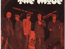 MOVE Flowers In The Rain RARE Norway 45 norwegian p/s The Lemon Tree PSYCH HEAR