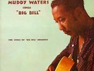 MUDDY WATERS • SINGS BIG BILL • 1960 DG LP CHESS 1444   BLACK LABEL   NM