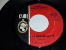 THE BREAKAWAYS That's How It Goes / He Doesn't Love Me CAMEO PROMO RARE SOUL 45