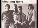 **Young Rascals - Good lovin' - Swedish Atlantic PS/45 Top Listen