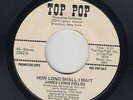 Funk/Deep Soul 45 - James Lewis Fields - How Long Shall I Wait - Top Pop - mp3