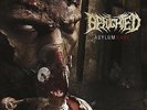 Benighted - Asylum Cave LP New Dying Fetus Job For A Cowboy Cephalic Carnage