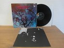 AMON DÜÜL PHALLUS DEI MINT 1969 RARE INSERT KRAUT.LP