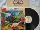 LIGABUE - LAMBRUSCO COLTELLI ROSE & POP CORN - ANNO 1991 + INSERTO BOOK