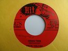 ANSEL COLLINS Green Tree HIT Reggae Funk Breaks Hard Drums 45 HEAR