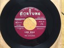 Catalinas -Long Walk/Destruction- Rare Detroit Garage Rock&Roll Rockabilly Surf