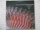 THE ELECTRIC PRUNES: RELEASE OF AN OATH