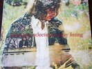 Ryley Walker - Primrose Green 12